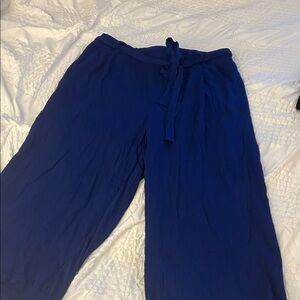 Torrid Navy Wide Leg Pants